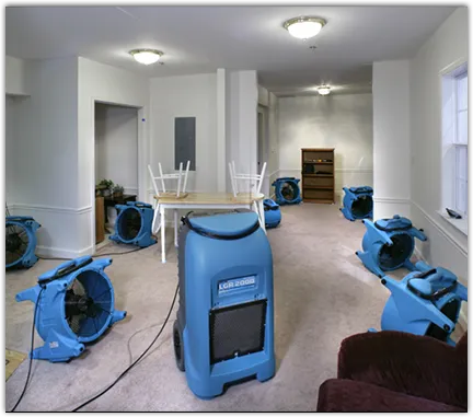 Mold Remediation & Removal in River Rouge, MI