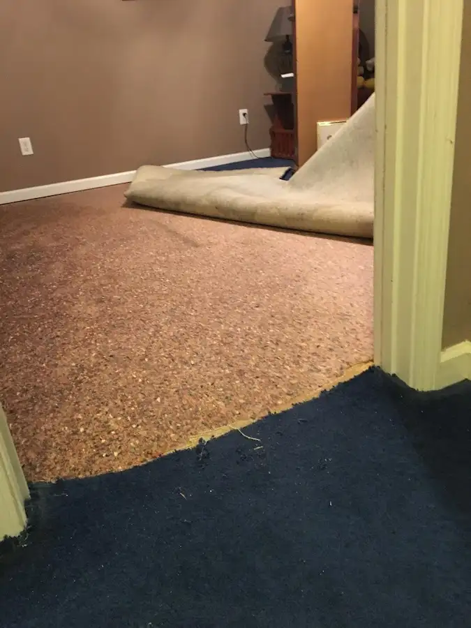 Carpet pad removal revealing water damage during Drying & Dehumidification in River Rouge