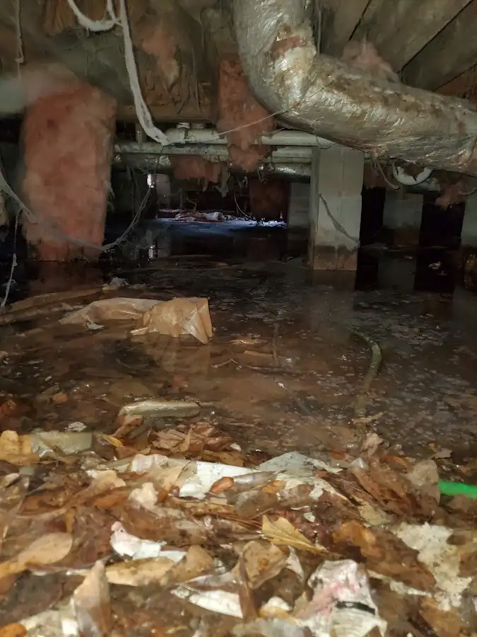 Crawl space flood assessment for Leak Detection & Repair in River Rouge