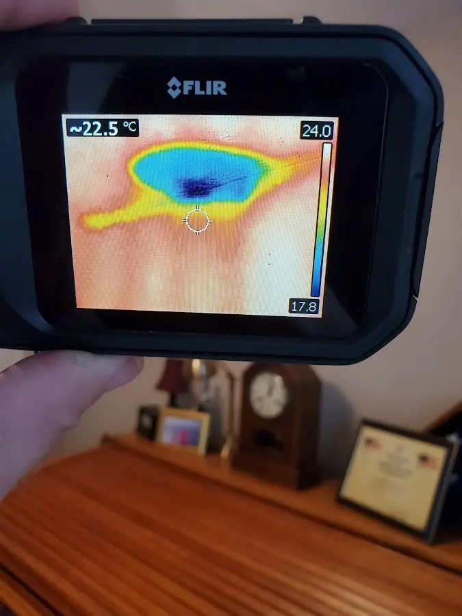 Thermal imaging inspection for water damage in River Rouge