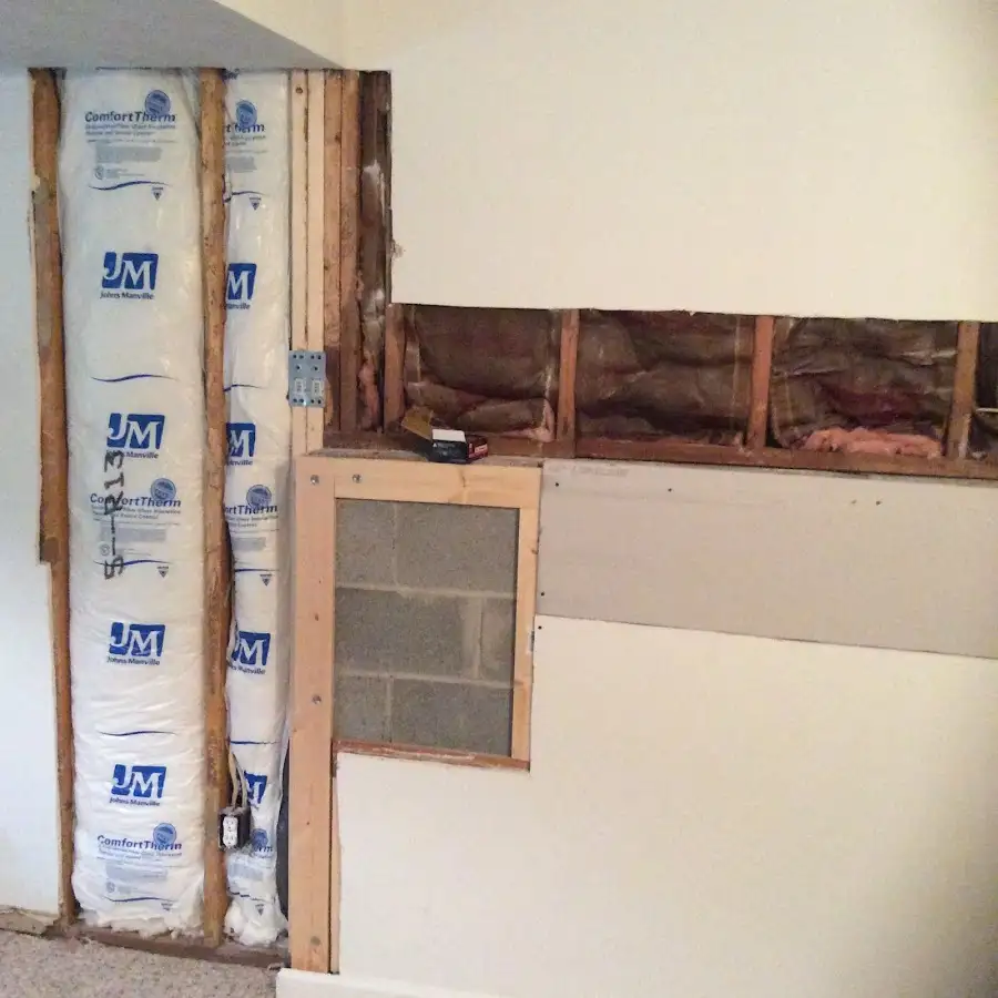 Wall insulation replacement during Odor Removal & Deodorization in River Rouge